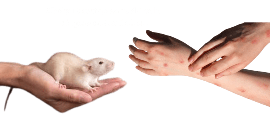 Alaska Pox virus caused death of a person Health Alert