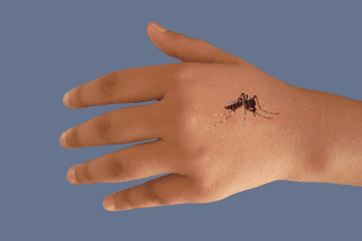 Mosquito on a hand causing West Nile Virus-IWWB NEWS